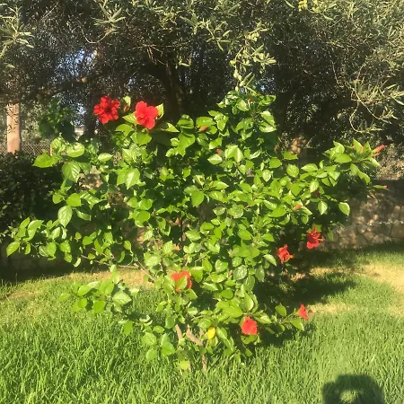 Sorina Kefalonia 别墅 *