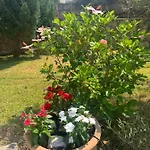 Villa Sorina Kefalonia